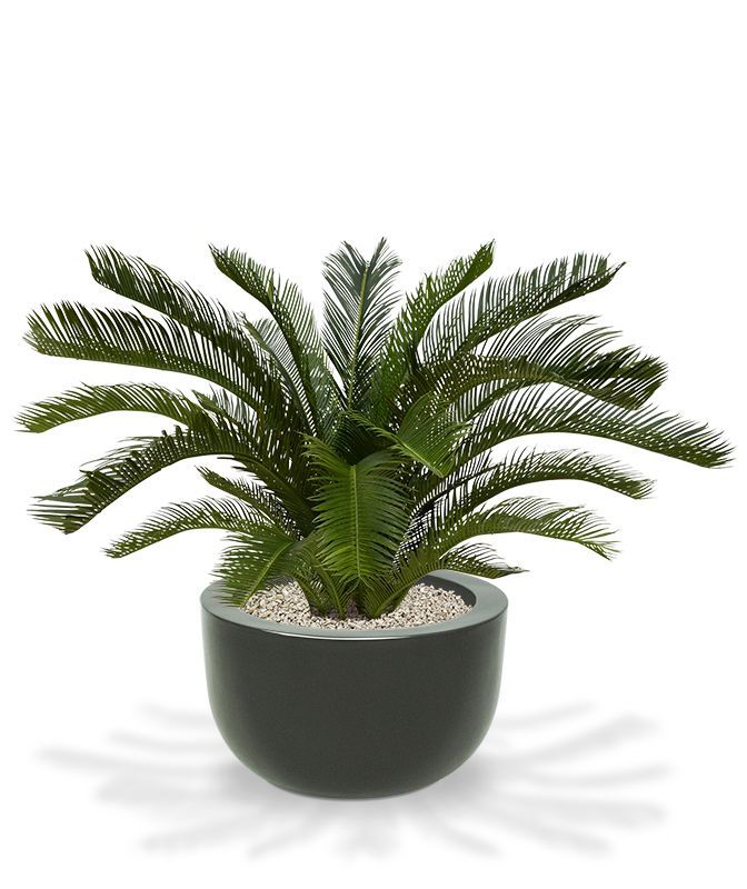 Cycas deluxe kunstpalm M 80cm