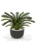 Cycas deluxe kunstpalm M 80cm