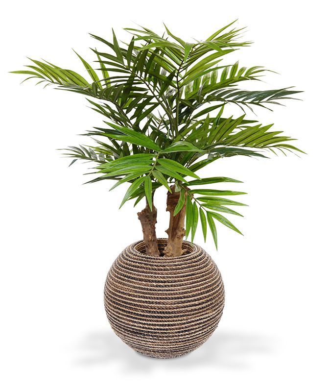 Parlour kunstpalm op voet 65cm