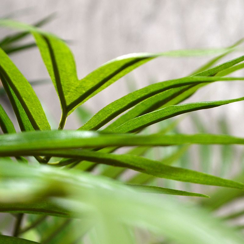 Parlour kunstpalm op voet 65cm