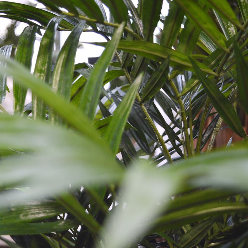 Parlour kunstpalm op voet 95cm