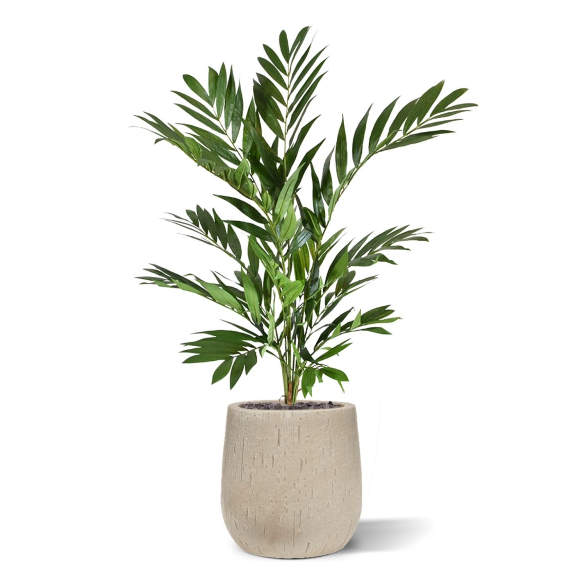 Parlour kunstpalm deluxe 90cm