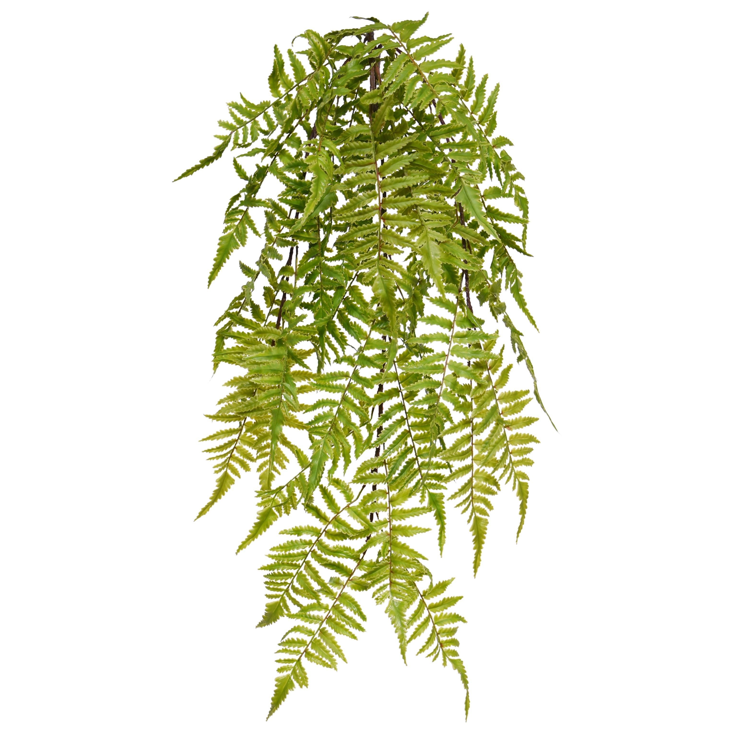 Bosvaren Kunst hangplant 60cm