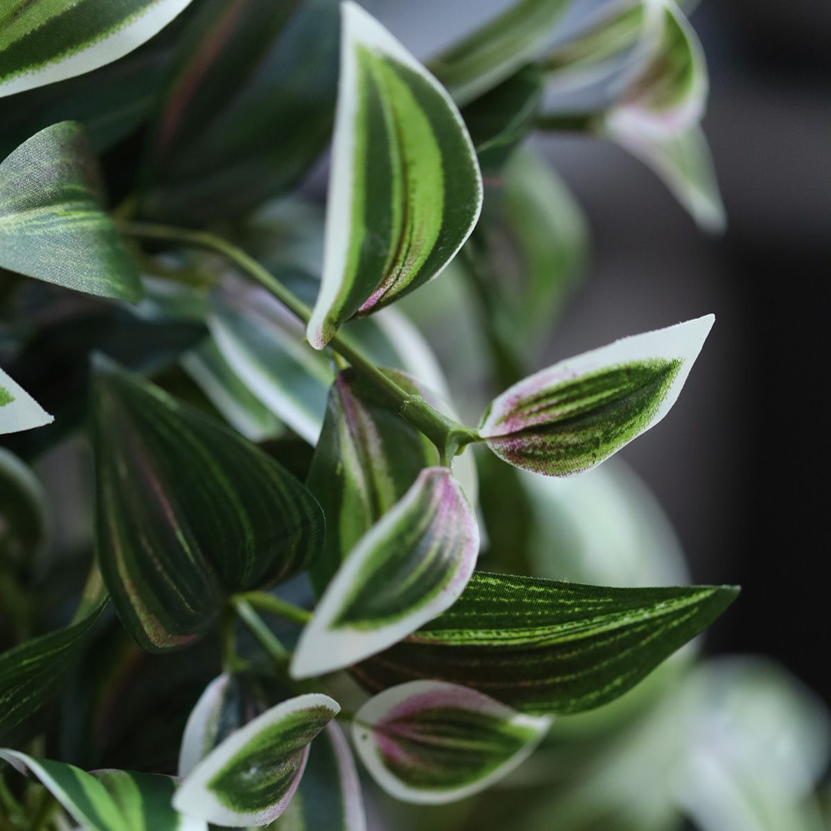 Tradescantia bont Kunst hangplant 50cm