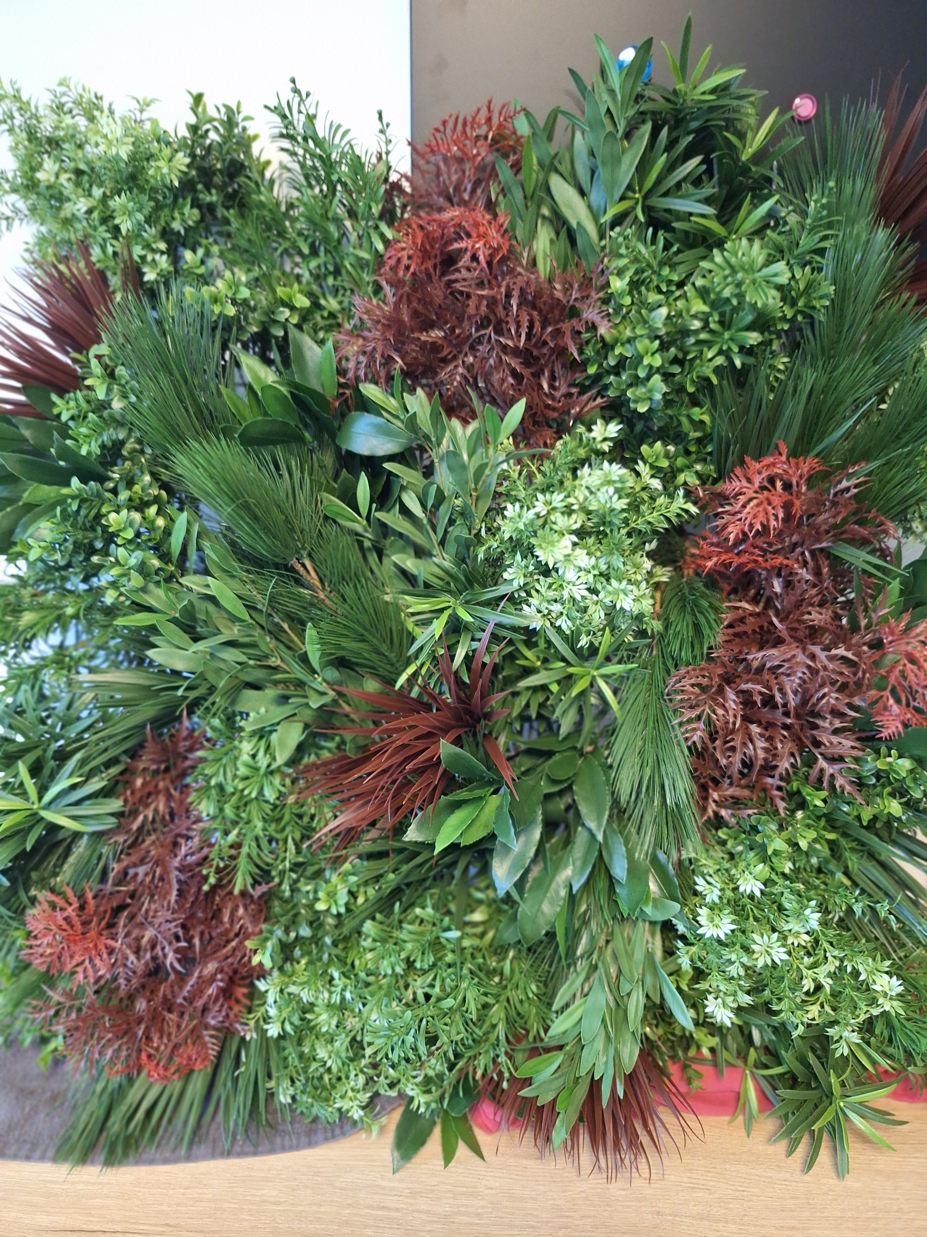 Ming Aralia bordeauxrode tak 50cm UV