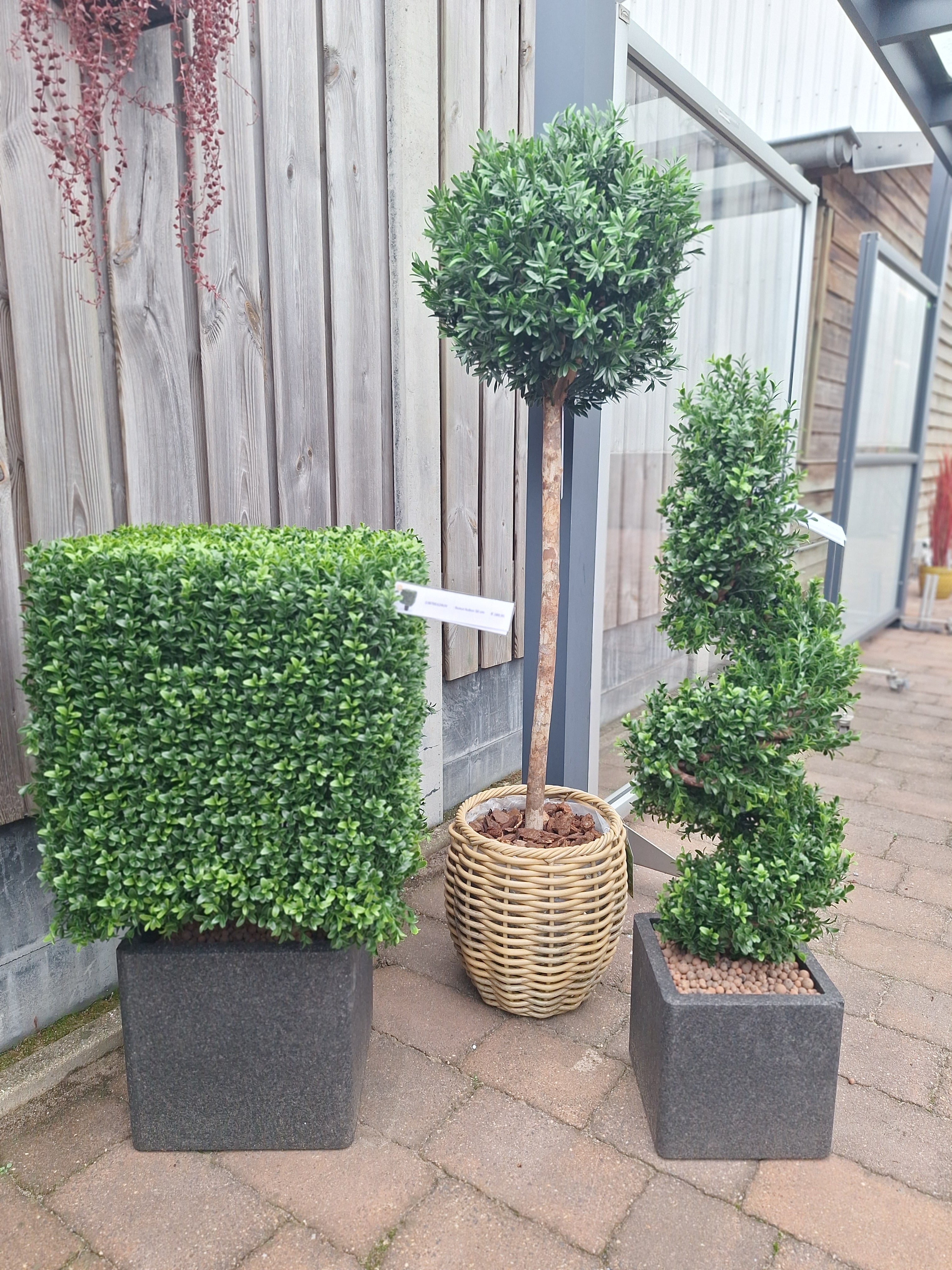 Kunstmatige buxus voor buiten, vierkant, 50 cm, UV-bescherming.
