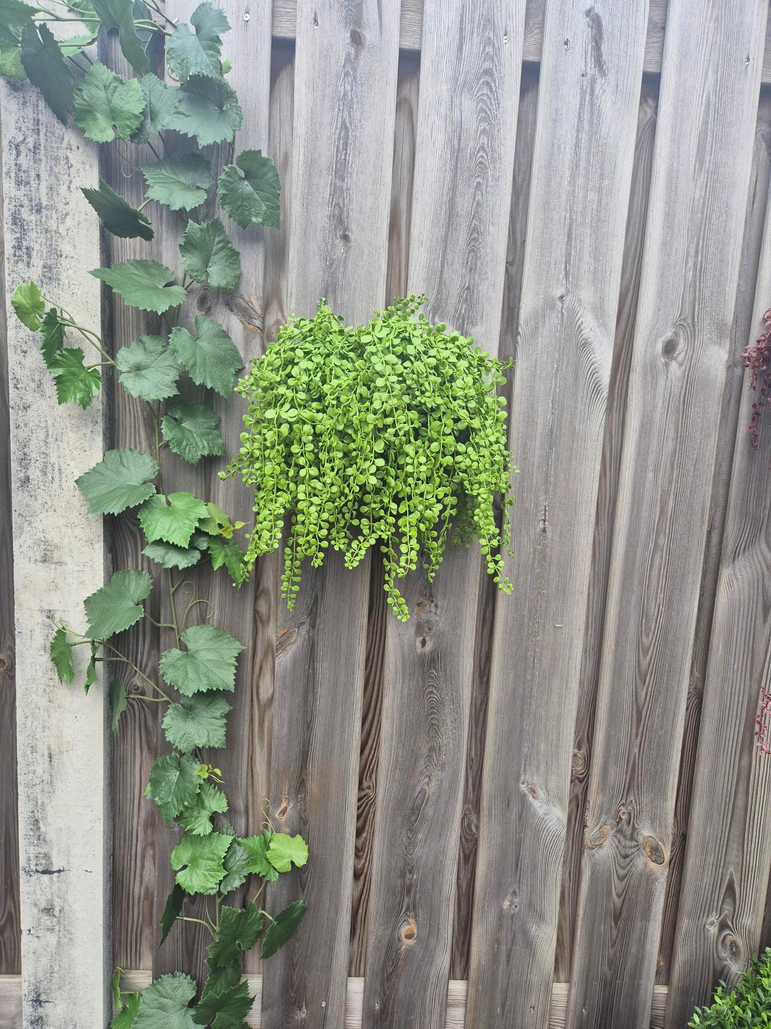 Dischidia nummularia kunst hangplant 40cm UV
