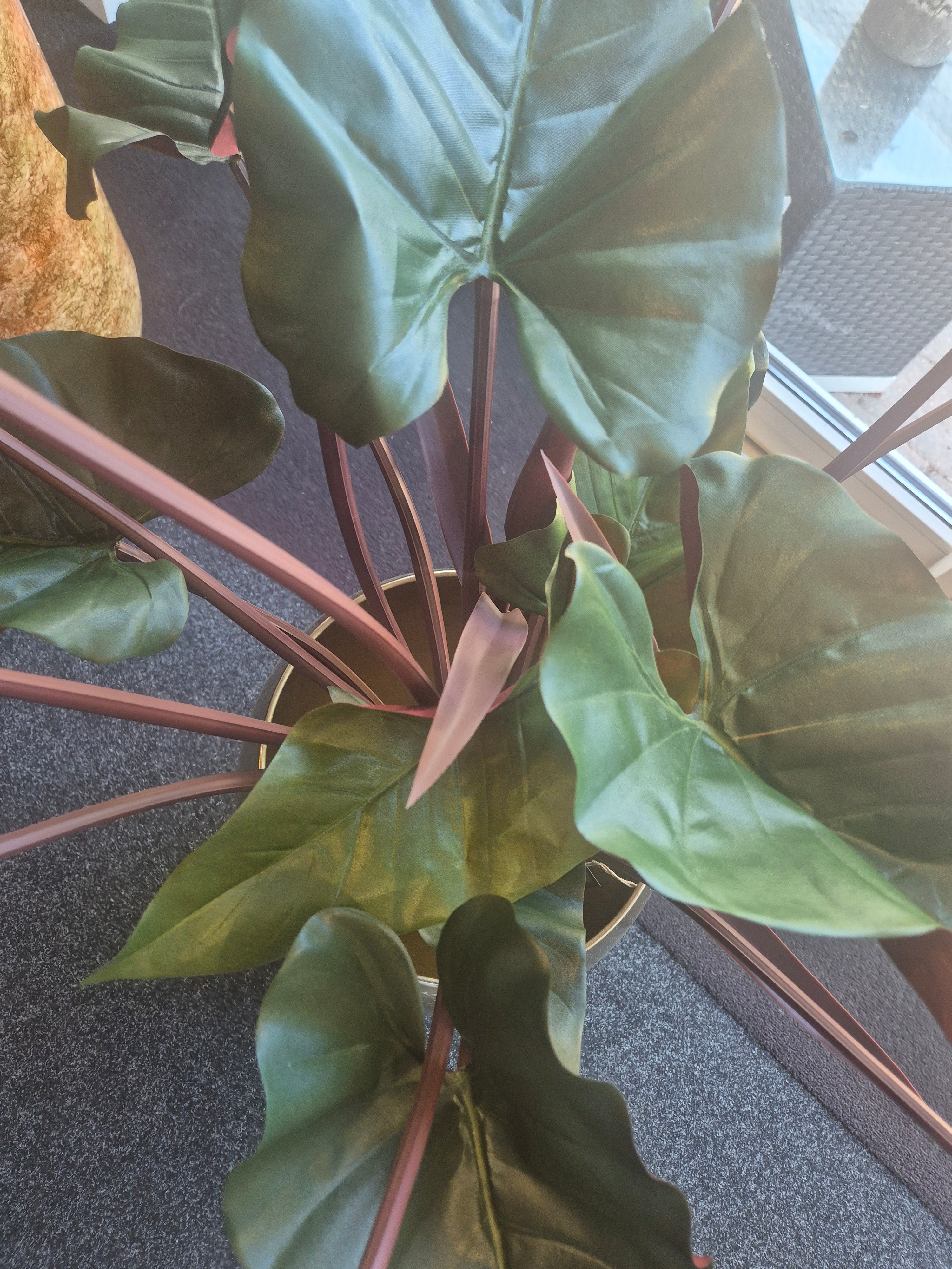Philodendron XL Kunstplant Deluxe 120 cm Burgundy – Showroom Editie (incl. styling)