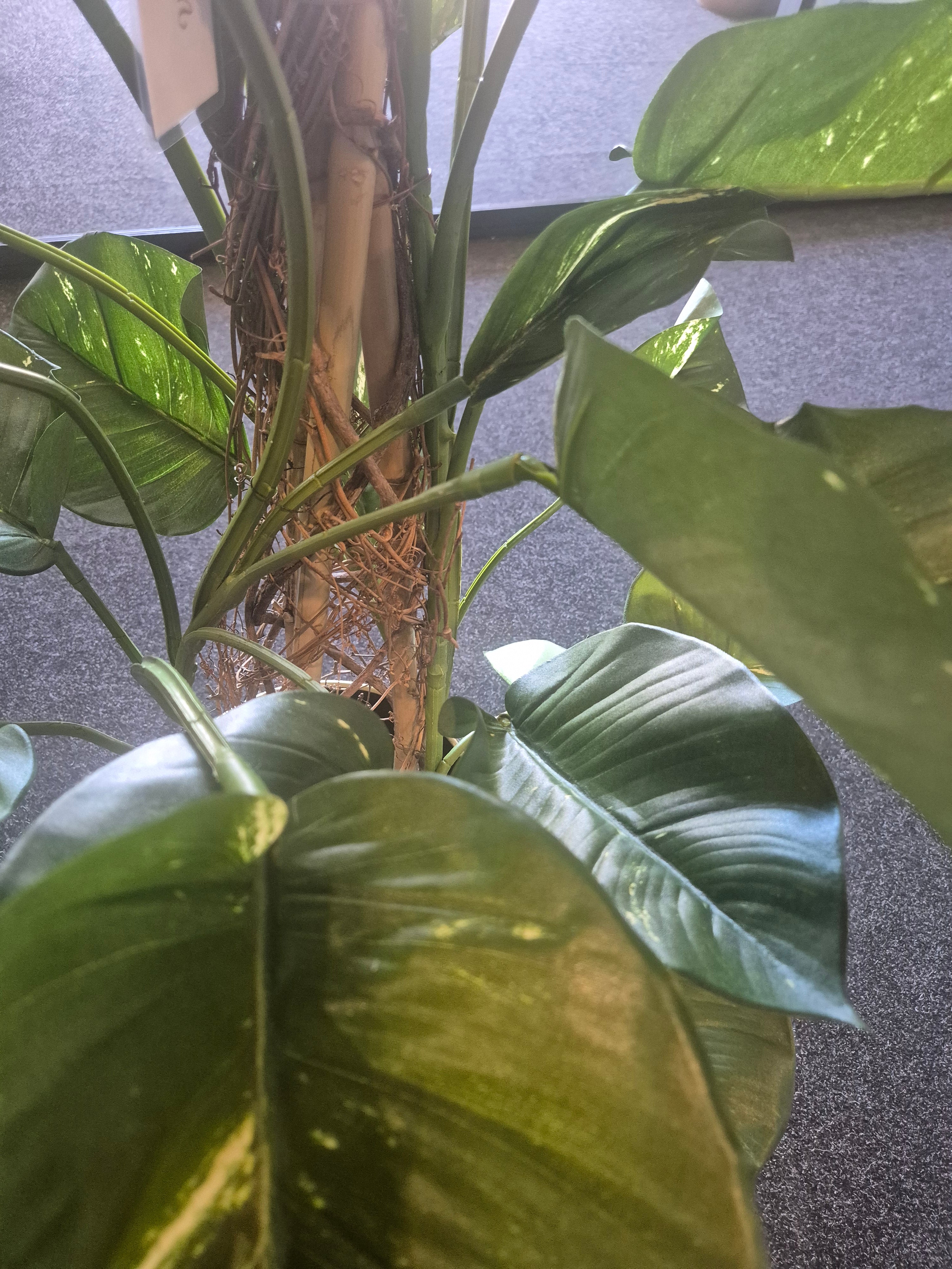 Kunst Pothos Klimplant 125 cm – Showroom Editie (incl. styling)
