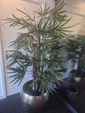Raphis Palm Deluxe 160 cm – Showroom Editie (incl. styling)