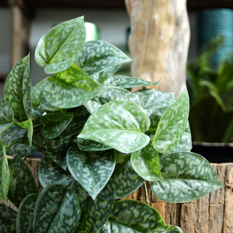 Scindapsus Pictus kunst hangplant 60cm
