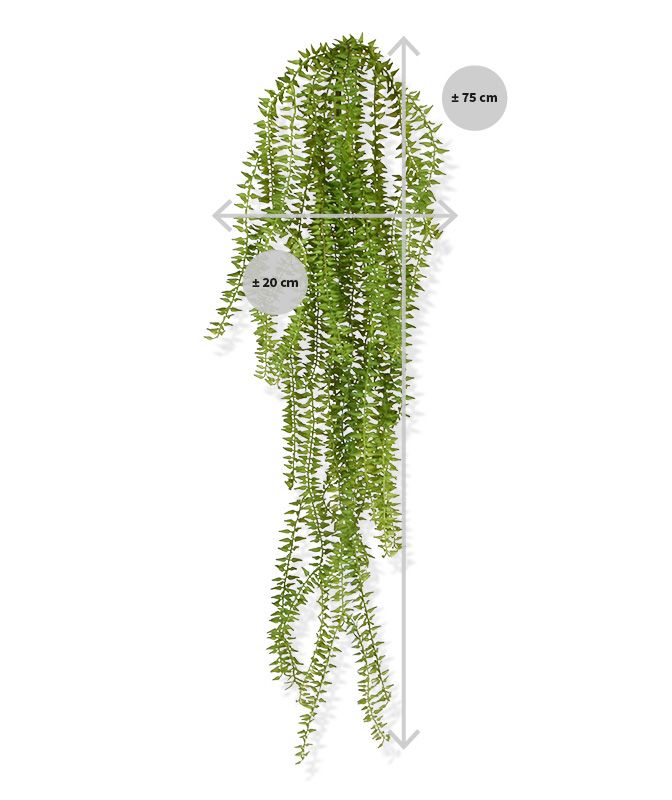 Huperzia kunst hangplant 75cm