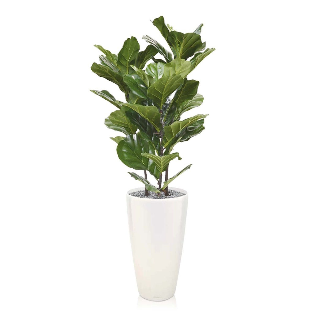 Lyrata kunstplant 95cm
