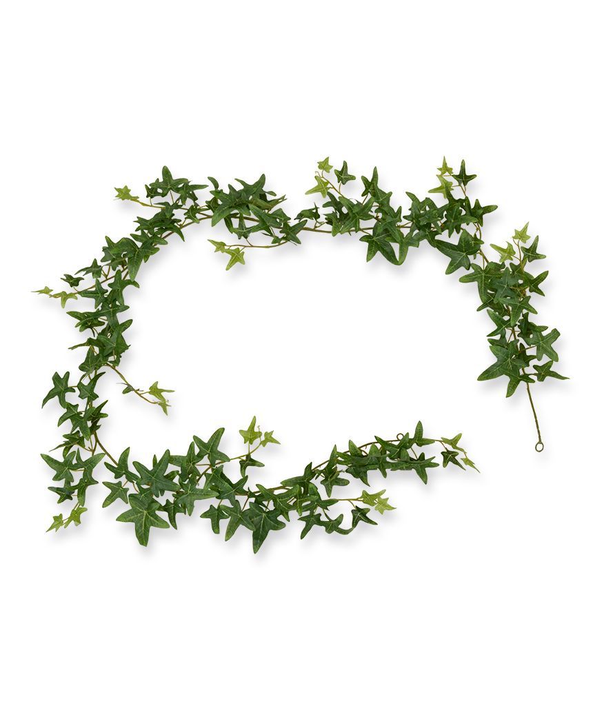 Ster Hedera kunst Guirlande 180cm - groen