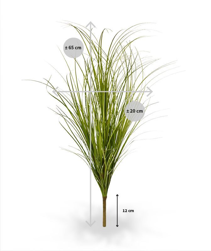 Kunst Grasplant Wide 60cm - groen (zonder kweekpotje)