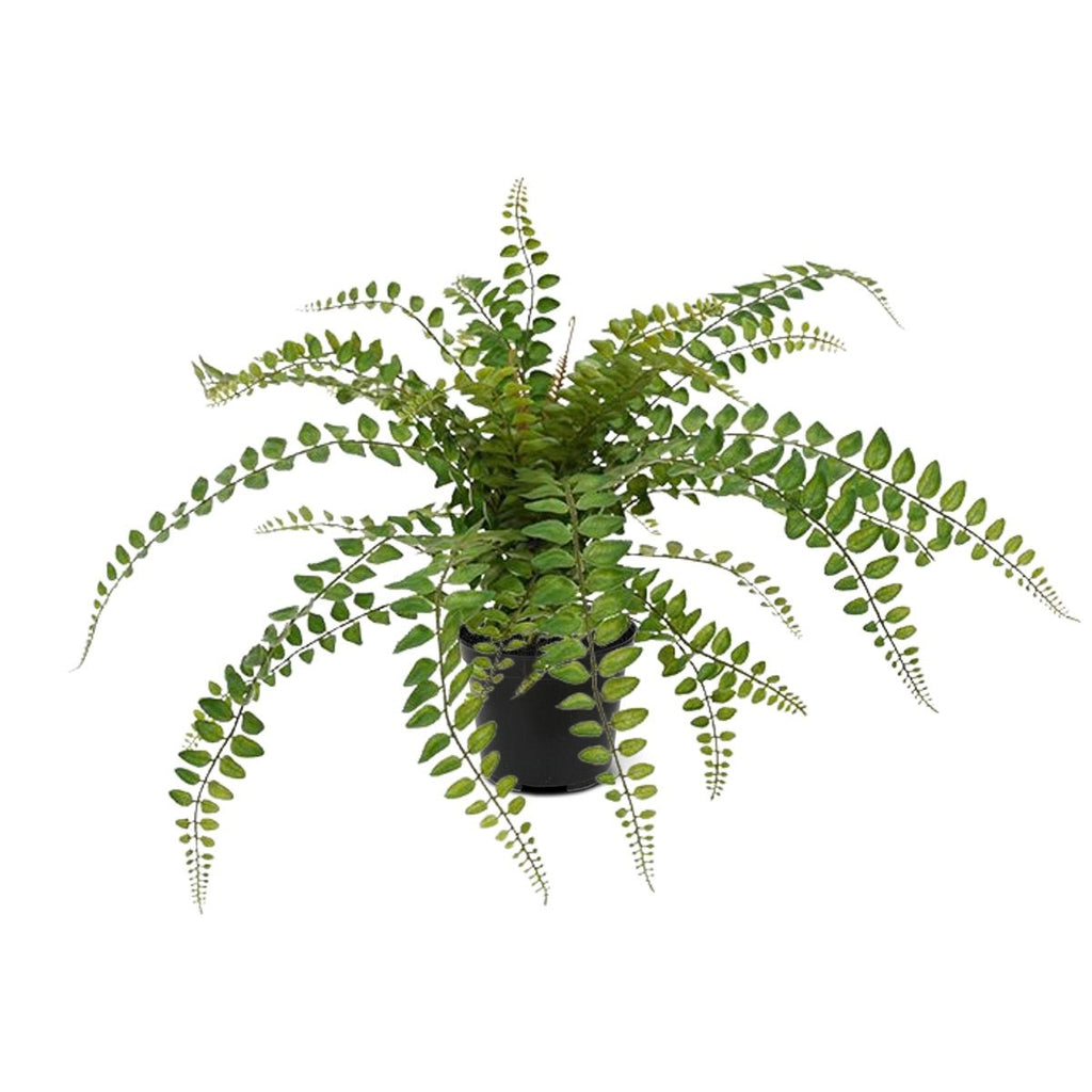 Rotundifolia Varen kunstplant 55cm (met kweekpotje)
