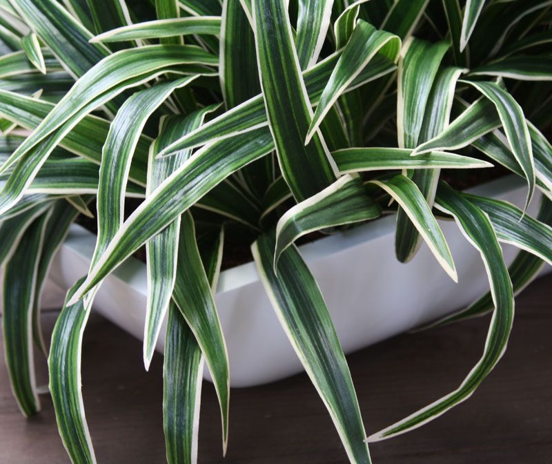 Chlorophytum S kunstplant 30cm