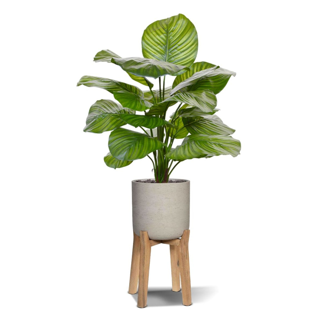Calathea Fasciata kunstplant 70cm