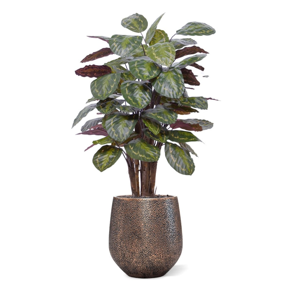 Calathea Roseopicta kunstplant Deluxe 125cm rood