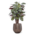 Calathea Roseopicta kunstplant Deluxe 125cm rood