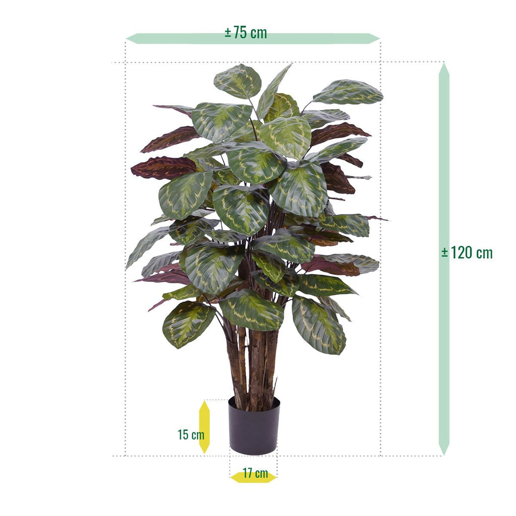 Calathea Roseopicta kunstplant Deluxe 125cm rood