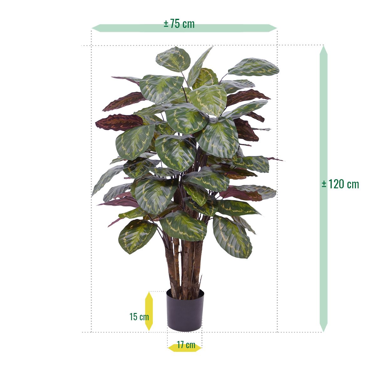 Calathea Roseopicta kunstplant Deluxe 125cm rood