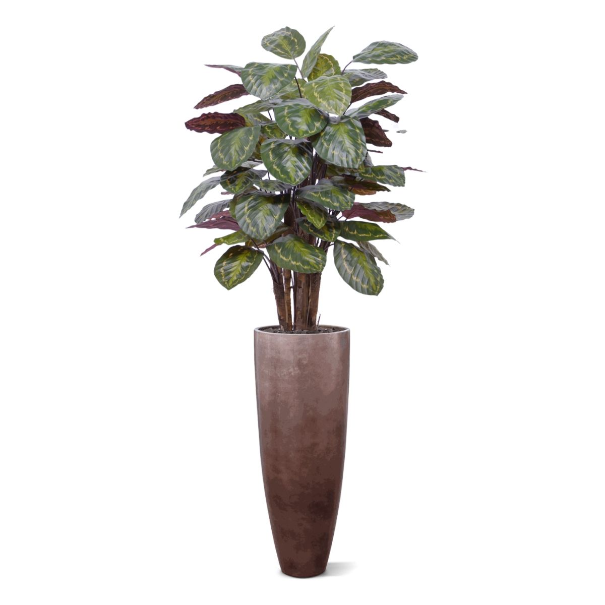 Calathea Roseopicta kunstplant Deluxe 125cm rood