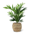 Parlour kunstpalm 50cm