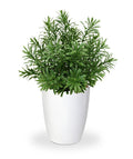 Crossostephium kunst vetplant in plastic pot 28cm