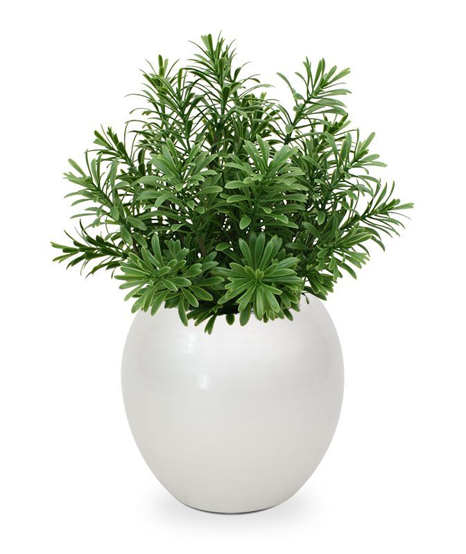 Crossostephium kunst vetplant in plastic pot 28cm