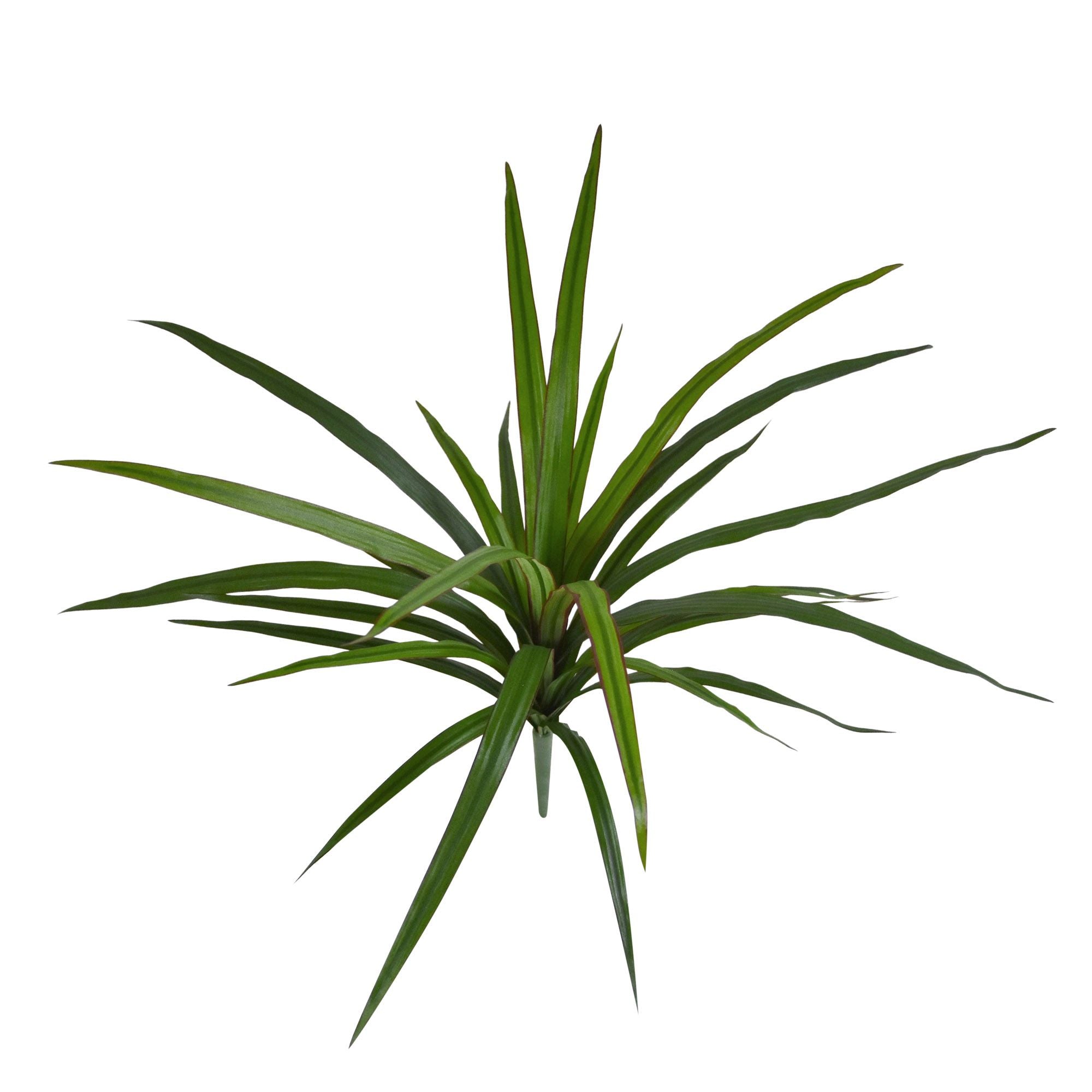 Draceana Marginata Kunstplant 40cm