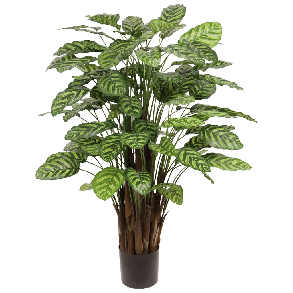 Calathea Makoyana kunstplant Deluxe 115cm