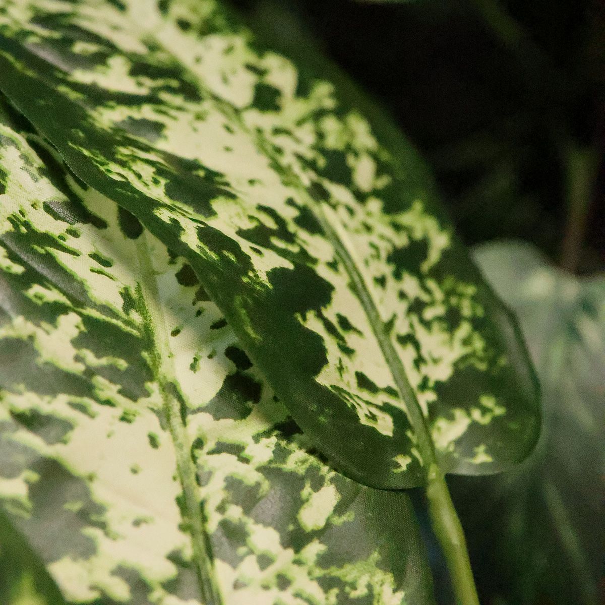 Dieffenbachia Kunstplant 110cm Deluxe