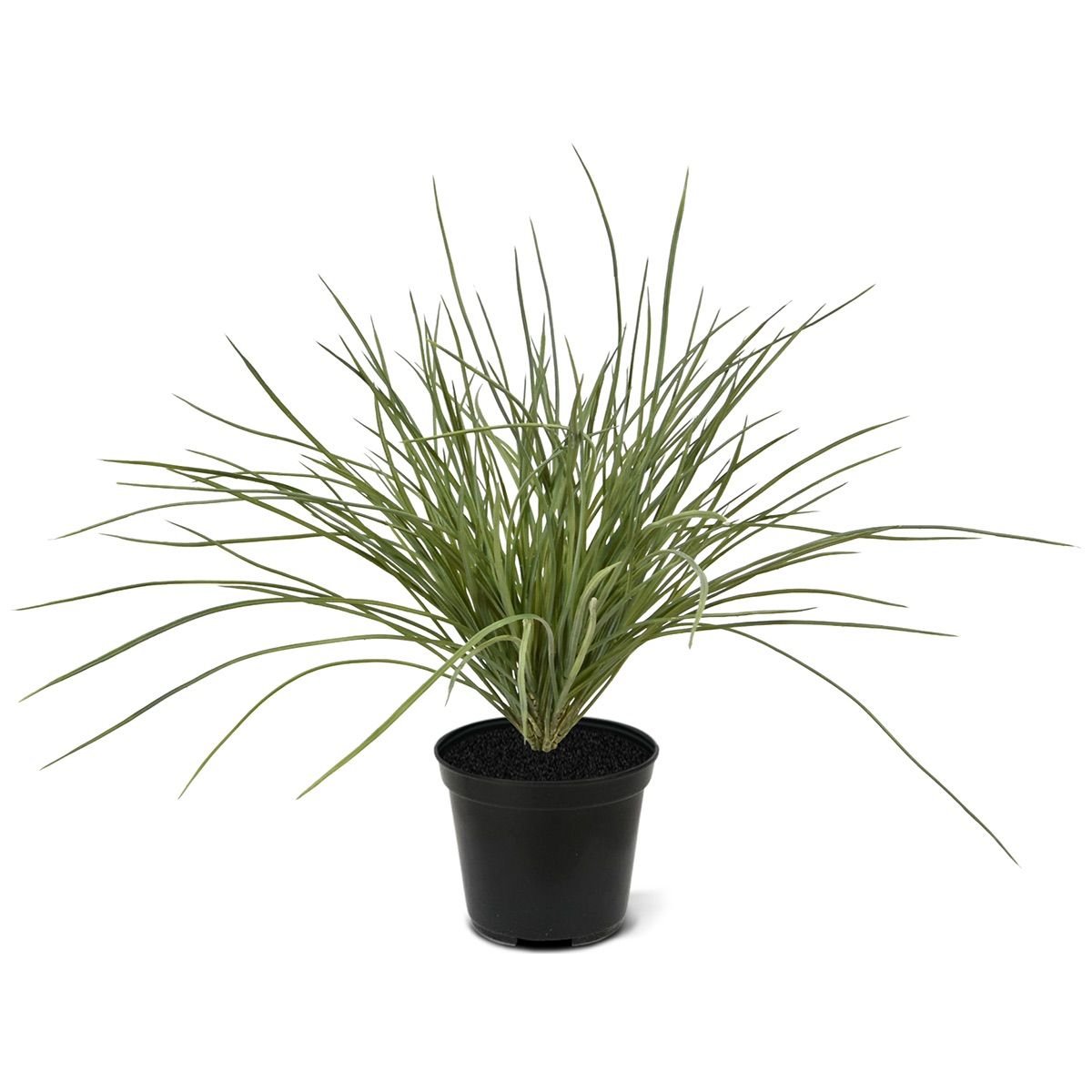 Kunst Grasplant Wide 40cm - groen (met kweekpotje)