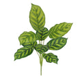 Calathea Maranta Kunstplant 40cm
