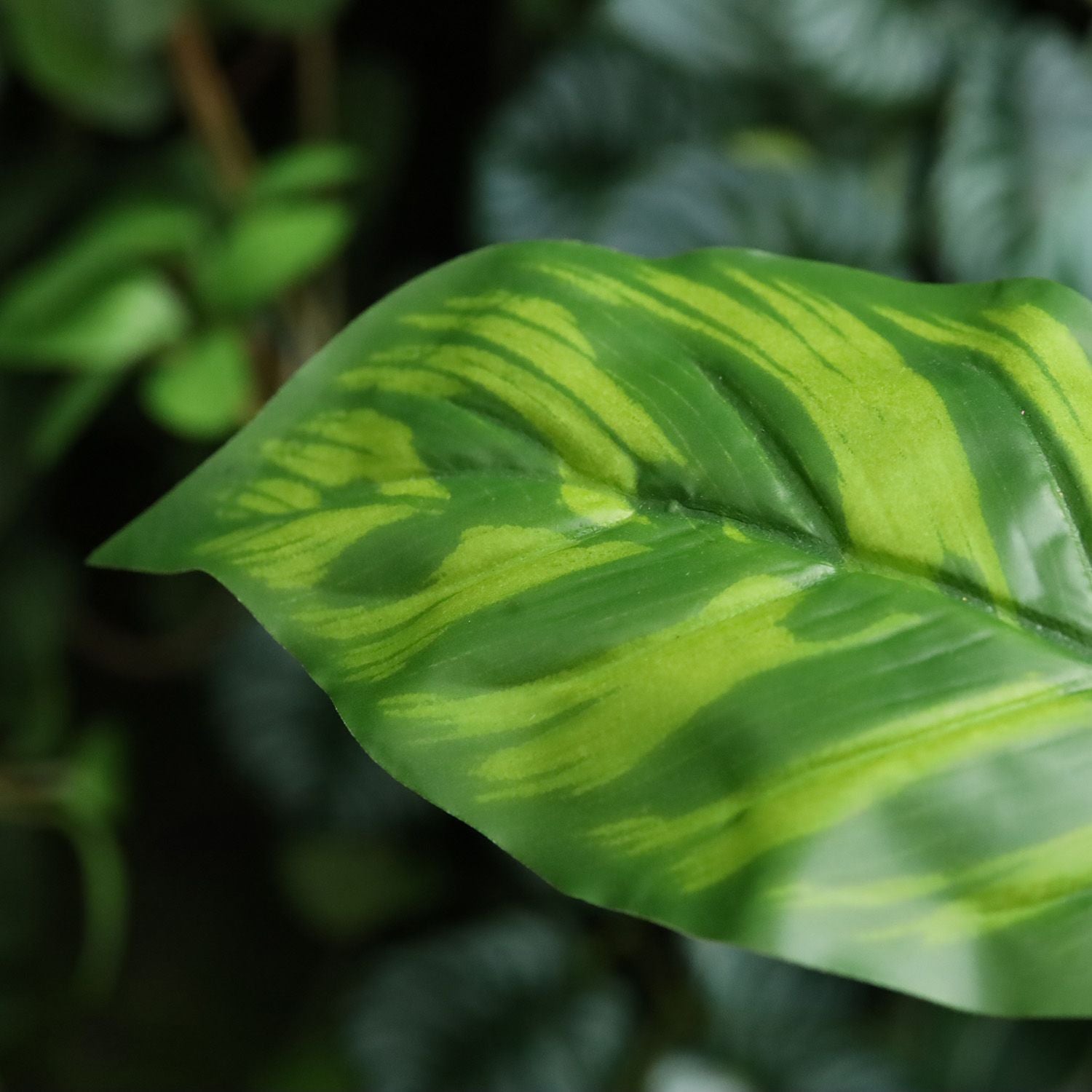 Calathea Maranta Kunstplant 40cm