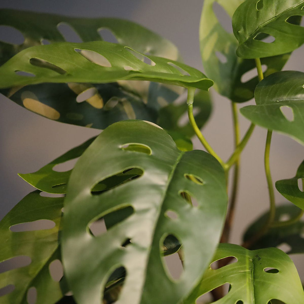 Monstera Adansonii Kunstplant 30cm