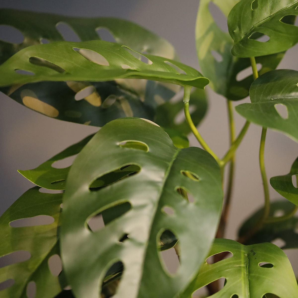 Monstera Adansonii Kunstplant 30cm
