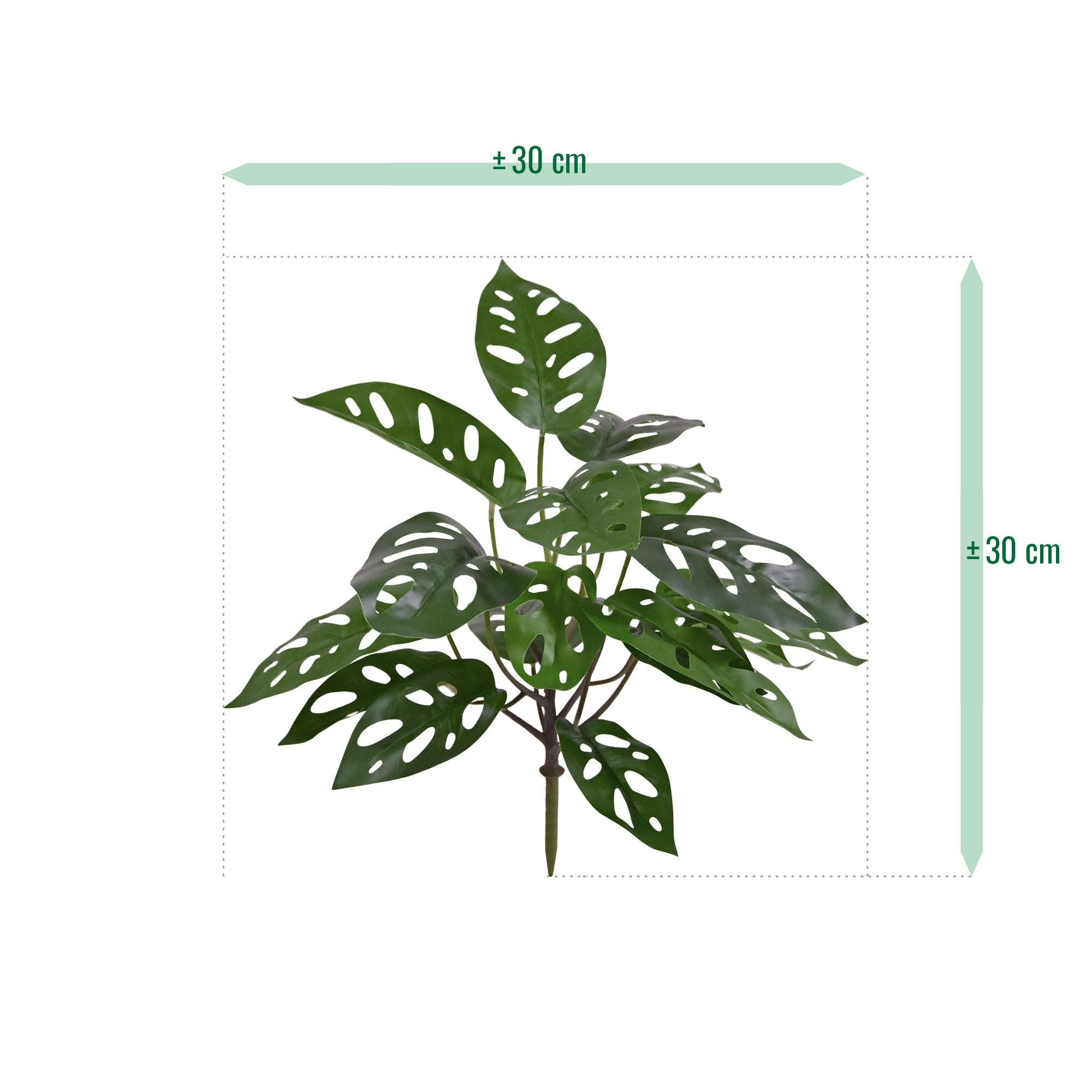 Monstera Adansonii Kunstplant 30cm