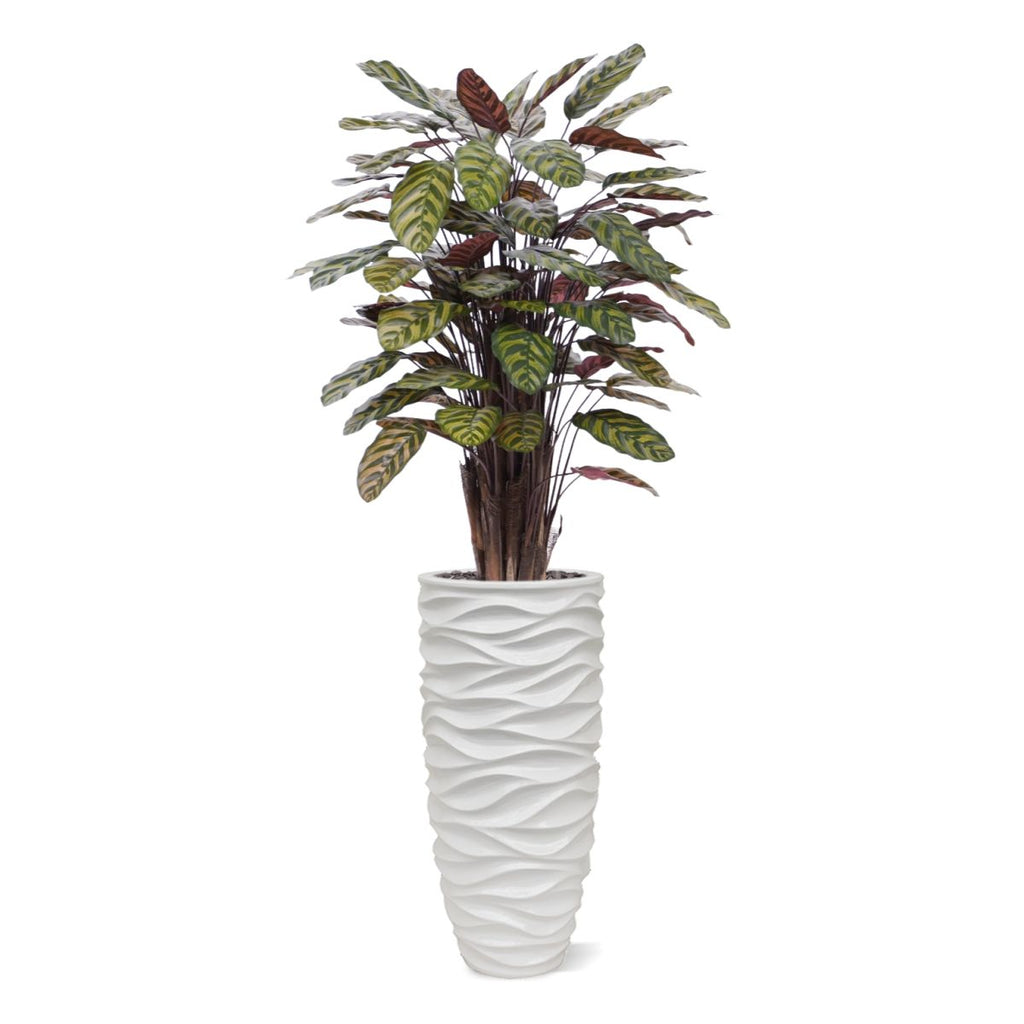Red Calathea Makoyana kunstplant Deluxe 115cm