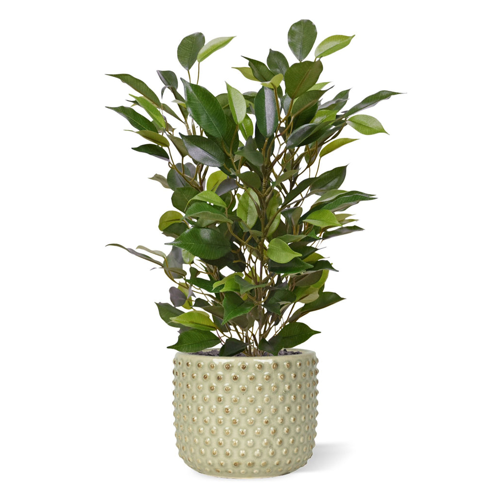 Ficus Natasja Kunstplant 40cm in 10cm pot