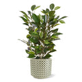 Ficus Natasja Kunstplant 40cm in 10cm pot
