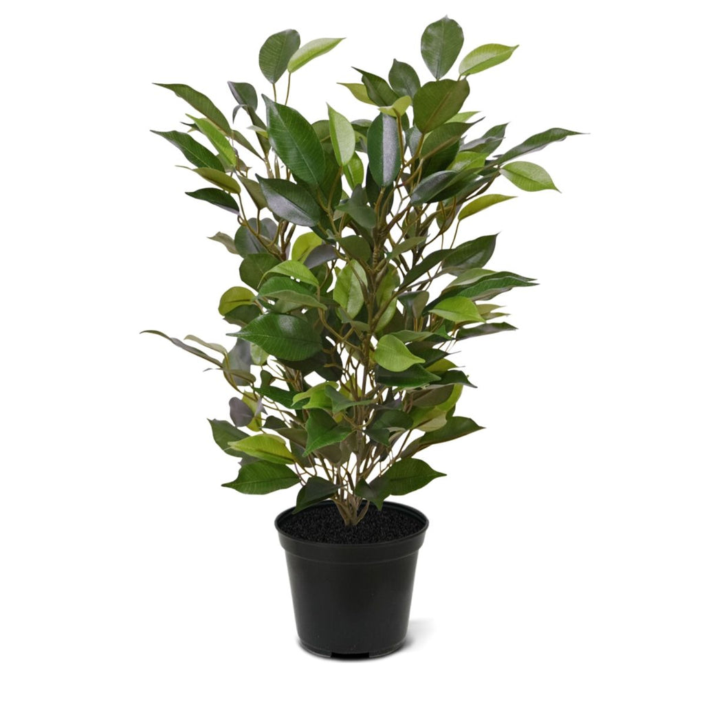 Ficus Natasja Kunstplant 40cm in 10cm pot