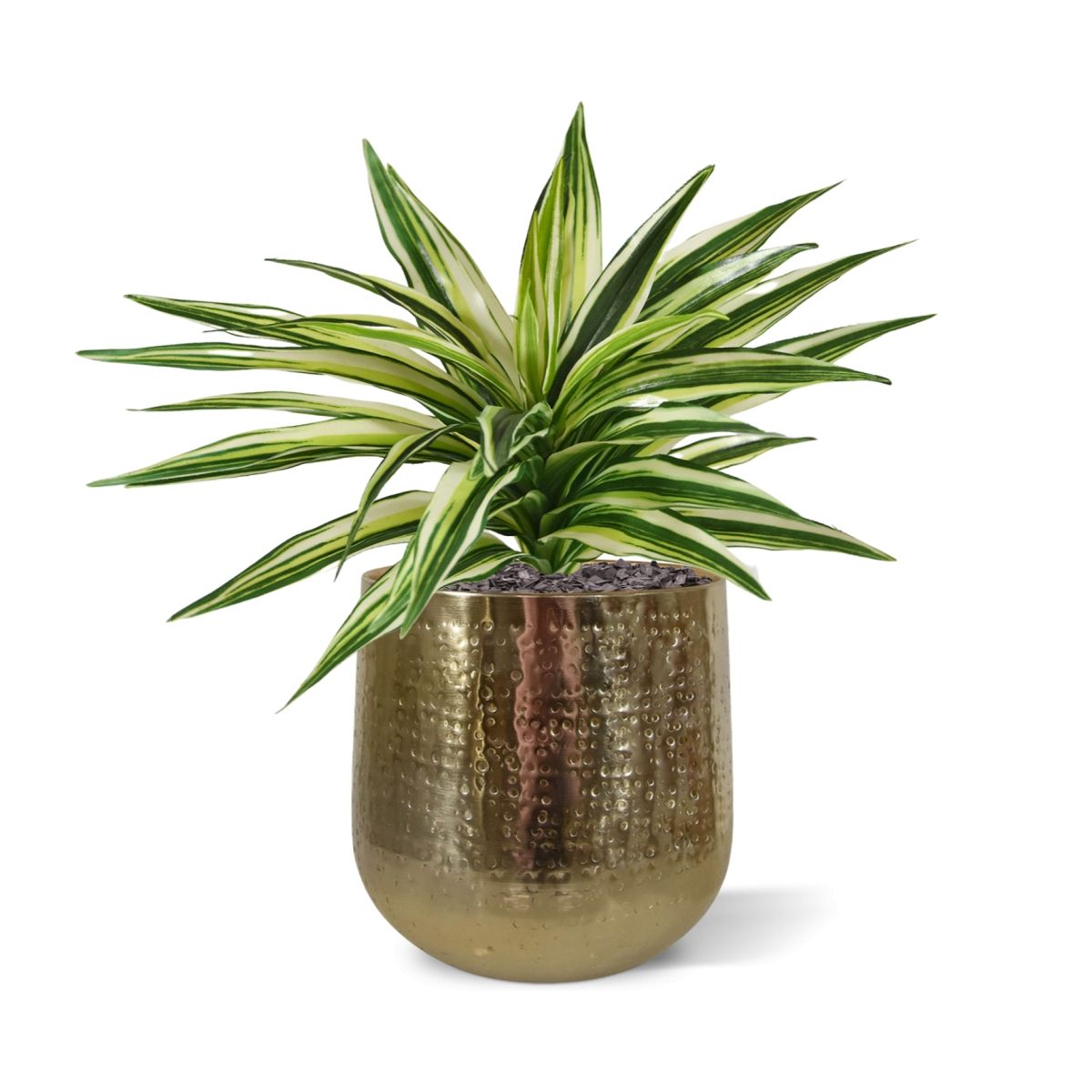 Draceana Kunstplant Bont 30cm