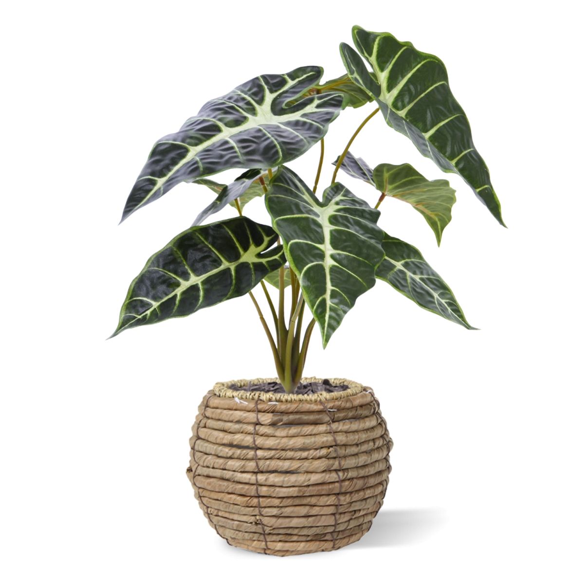 Alocasia Kunstplant Promo 40cm groen