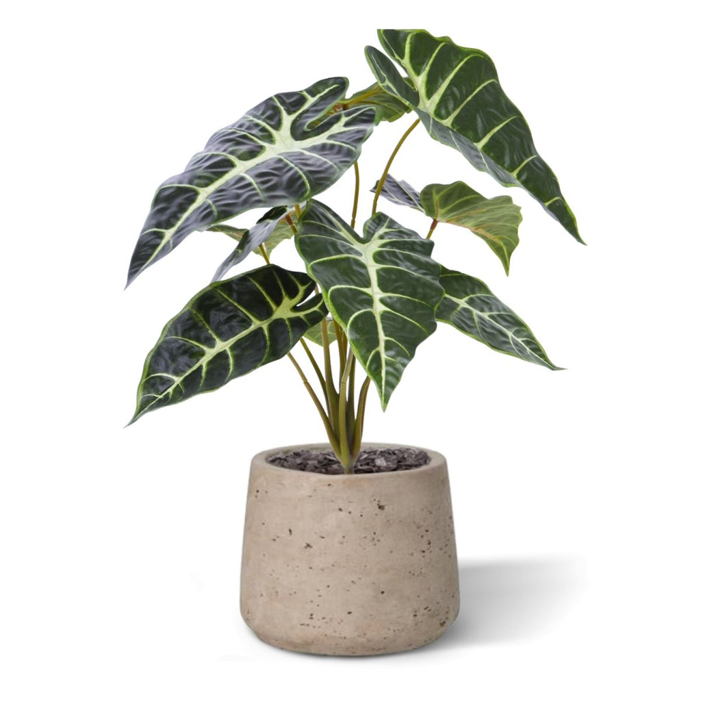 Alocasia Kunstplant Promo 40cm groen