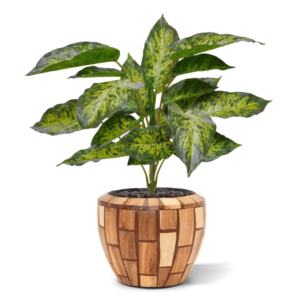 Aglaonema Kunstplant 40cm