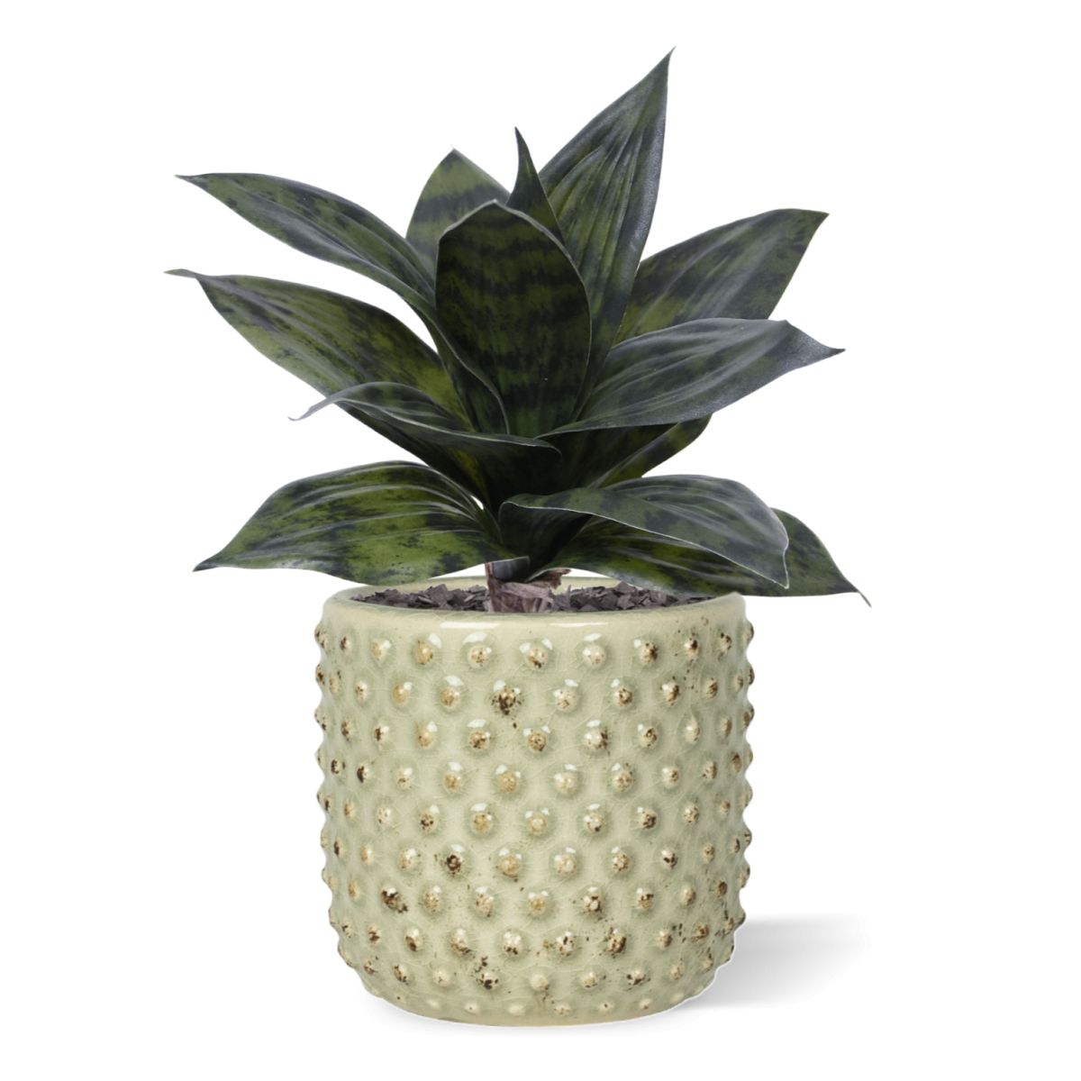 Sanseveria Kunstplant 25cm groen