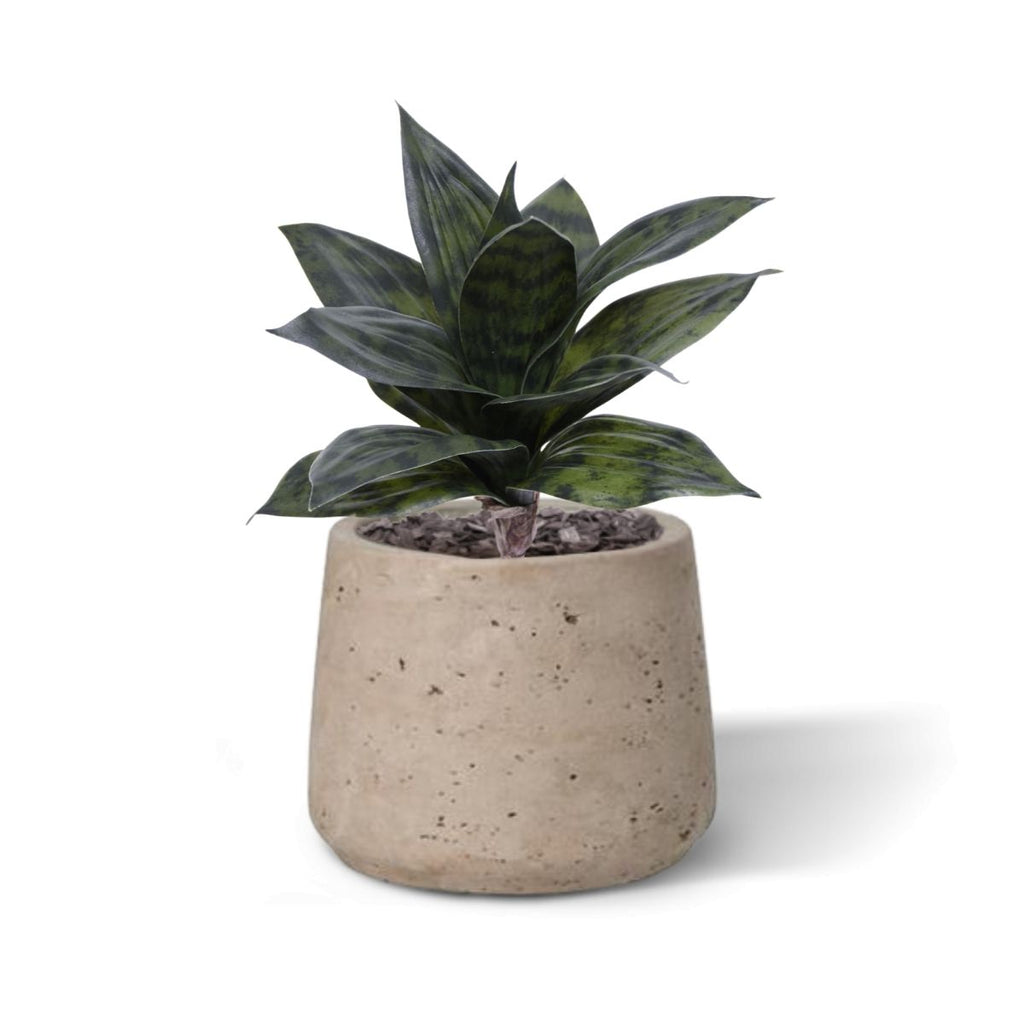 Sanseveria Kunstplant 25cm groen