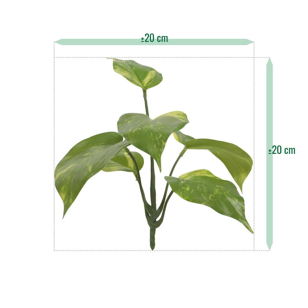 Pothos kunstplant bont 20cm